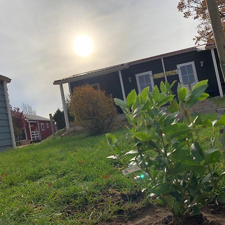 Ferien-& Erlebnispark Ploetzky Schönebeck Exteriör bild